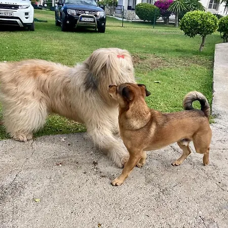 Su Casa Альмирос-Бич