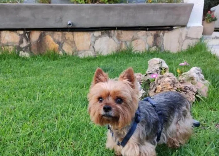 Su Casa Hébergement de vacances Plage d'Almiros